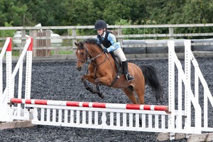 Class 2 -  Fences not above 2'